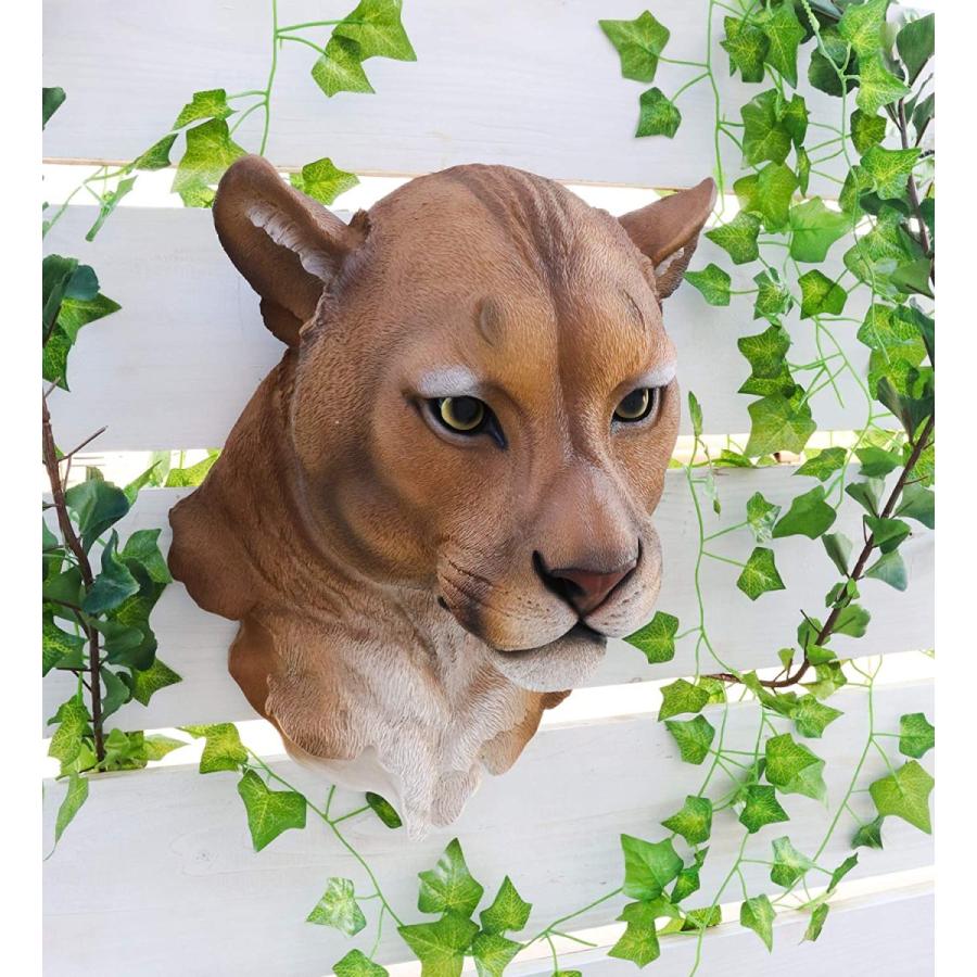 ピューマ 頭部 壁彫刻 彫像 / 北アメリカ ネコ科 サバンナ 草原 動物園 貴賓室 VIPルーム お祝い（輸入品）｜romando｜12