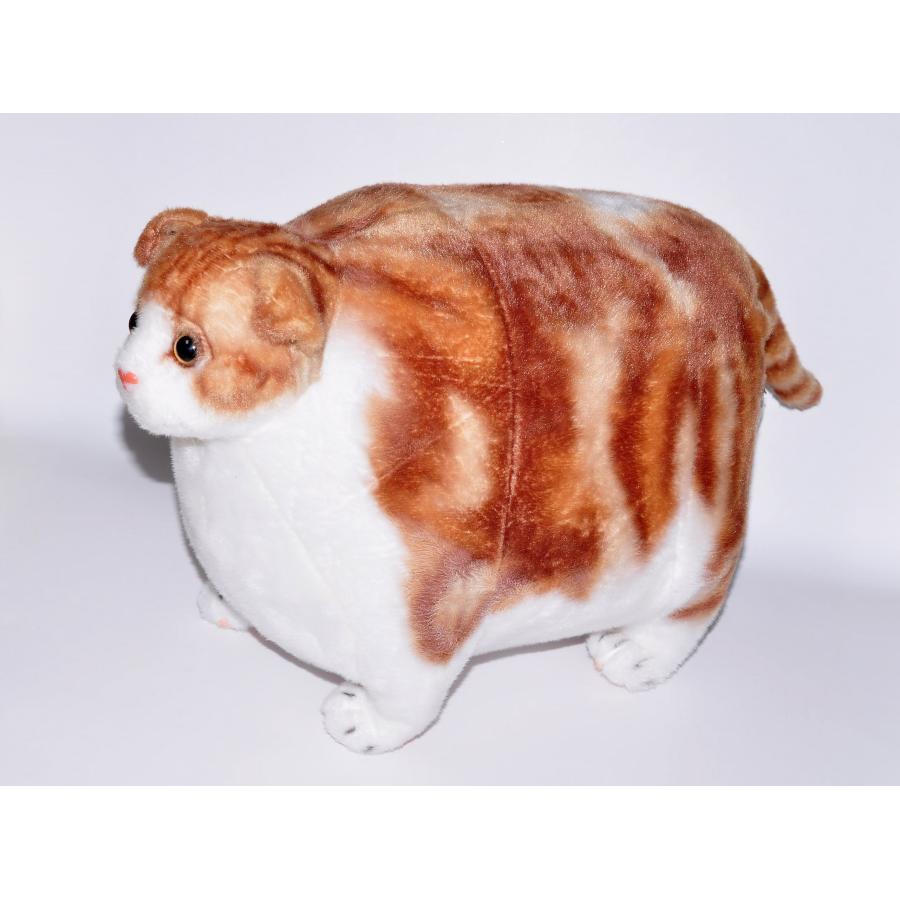 ふとっちぃZooにゃんこ スコティッシュフォールド 中古 : 浪漫堂