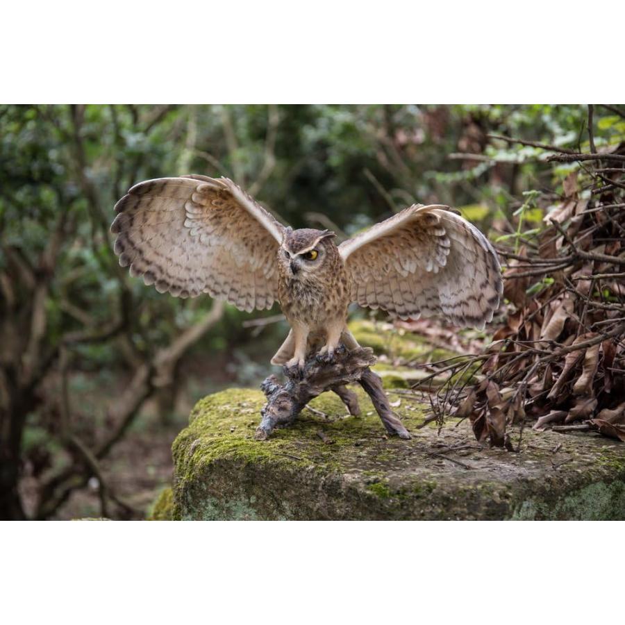 ハイラインギフト製 枝に止まり翼を広げたワシミミズクの彫像屋外