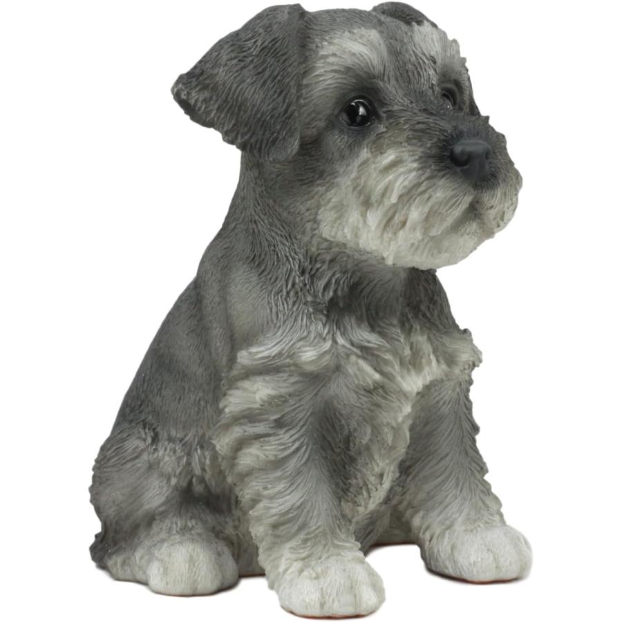 リアルなミニチュアシュナウザー子犬の彫像高さ15.9cm動物犬