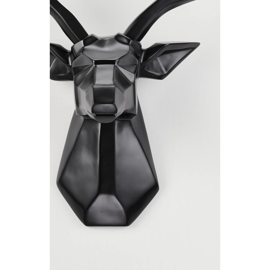 【希少品】インパラ 剝製 頭部 実物 壁掛け インパラ（ショルダーマウント）剥製 - 頭骨・骨格標本・剥製販売