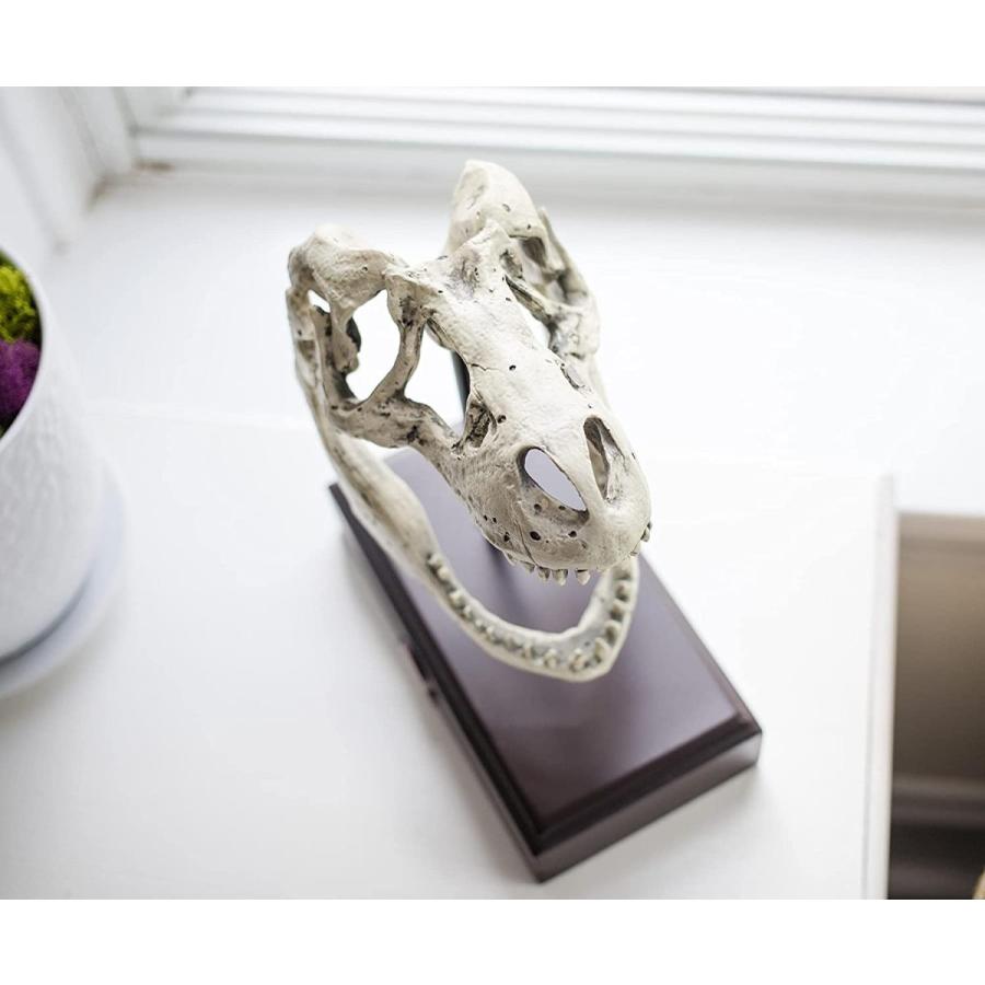 ✨大迫力✨ ティラノサウルス 恐竜の化石 頭骨 インテリア ジュラシックワールド レゴ ジュラシック ワールド 76968 恐竜の化石: ティラノサウルス