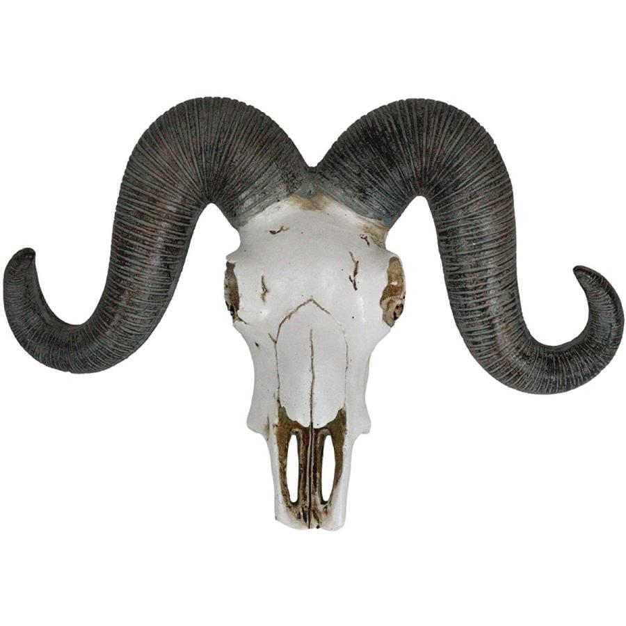 威厳のあるテキサスコルシカラムスカル 雄羊の頭骸骨 彫像 ウォール