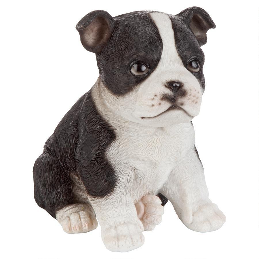 【美品】犬　ボストンテリア　陶器　置物　インテリア　工芸品　美術品　A2671 美品】犬ボストンテリア陶器置物インテリア工芸品美術品A2671