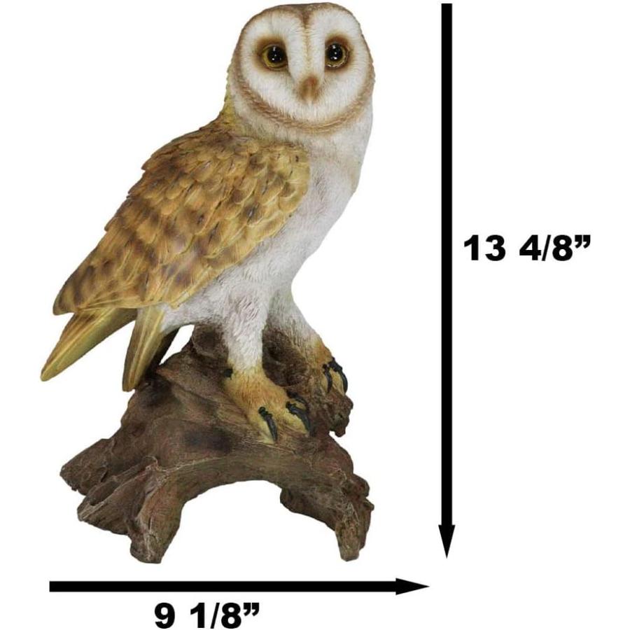 リアルな自然野生生物 木の切り株にとまるメンフクロウ彫像 ガラスの目