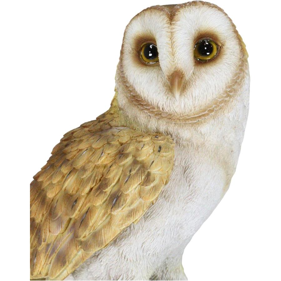 リアルな自然野生生物 木の切り株にとまるメンフクロウ彫像 ガラスの目