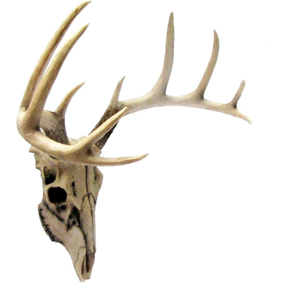 【半額】トナカイ　ハンティングトロフィー 新品 鹿 トナカイ ハンティングトロフィー レリーフ - メルカリ