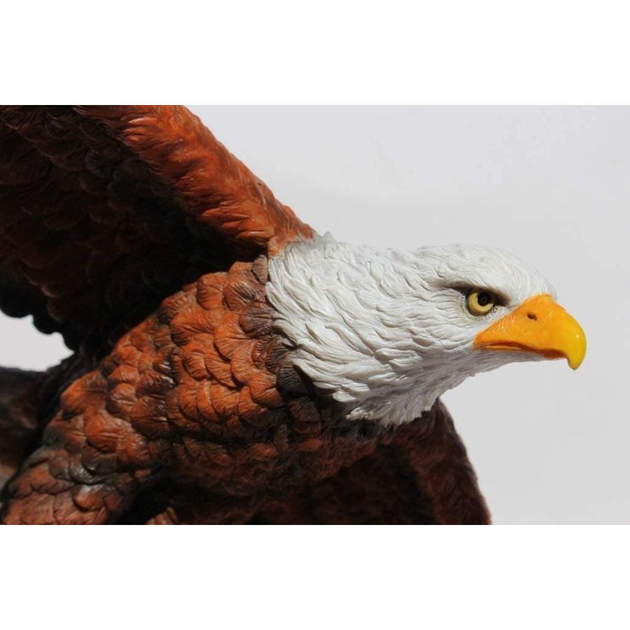 アメリカの国鳥 荘厳に空を飛ぶ白頭鷲(ワシ) 彫刻 彫像/ USA Majestic