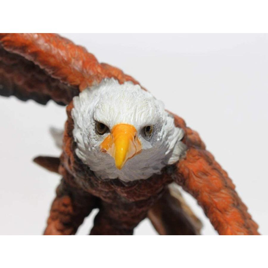 アメリカの国鳥 荘厳に空を飛ぶ白頭鷲(ワシ) 彫刻 彫像/ USA Majestic