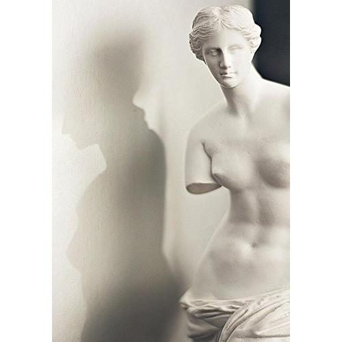 ミロのビーナス（ヴィーナス）彫像 彫刻/ ルーヴル美術館 アート