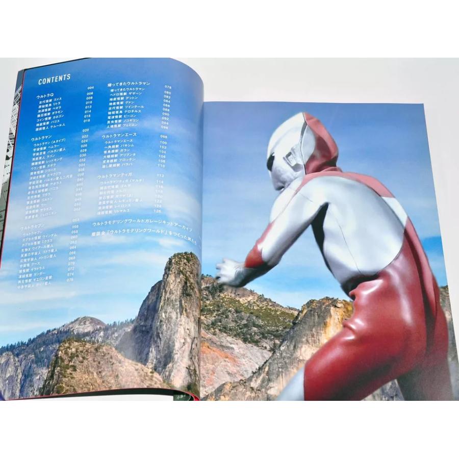 レア 藤原カムイ ウルトラマン シルクスクリーンポスター サイン入り ウルトラモデリングワールド/サイン入り : 浪漫堂ショップ
