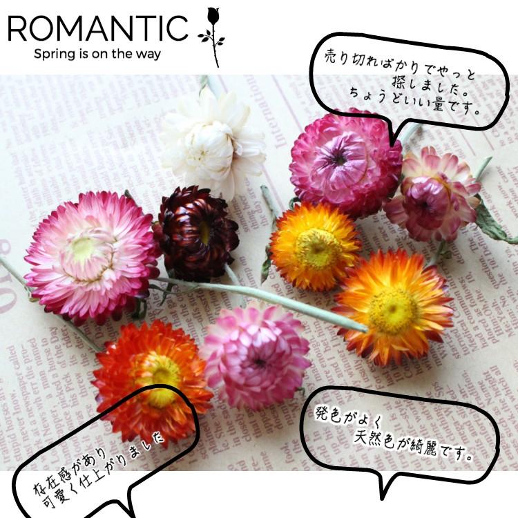 ドライフラワー 花束 スワッグ 千日紅 帝王貝 ３グラム ハンドメイド インテリア ハーバリウム 花材 セット ブーケ おしゃれ 安い 造花 母の日 玄関 ギフト 制作 Sen 1 Romantic 通販 Yahoo ショッピング