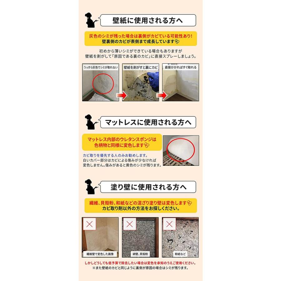カビ取り侍 液タイプ 1kg 標準タイプ お部屋のマット カーテン 布団 壁紙 漆喰 珪藻土用 純閃堂 Kz Ls1000 お気に入り