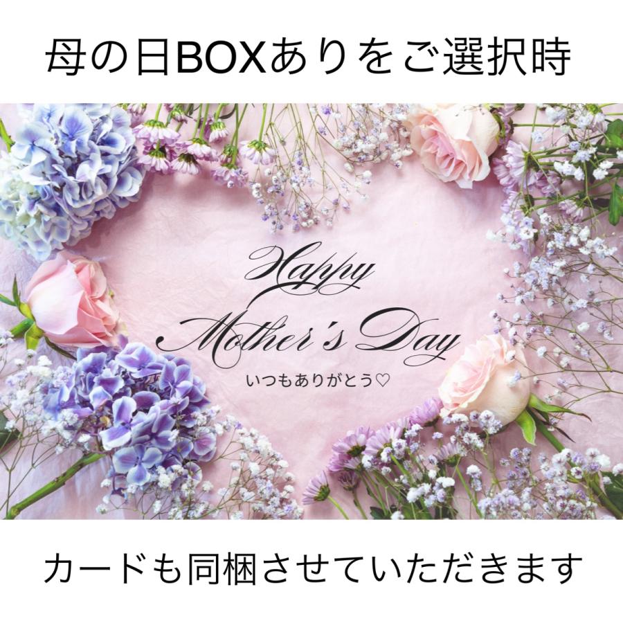 母の日2026 ジェラート 選べるセット 高級スイーツ 爆買 １６個セット  うるおうアイスクリーム 誕生日プレゼント 御祝　内祝 |  | 02