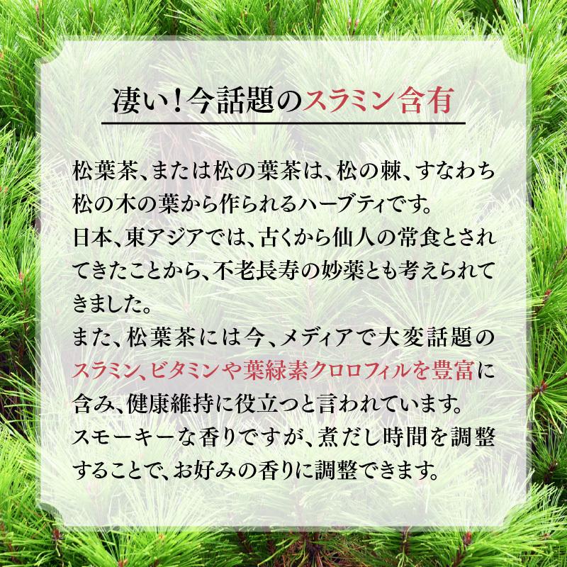 おいしい 松葉茶 60g 30包入 安全安心 残留農薬検査済 国内製造 スラミン ビタミン 葉緑素クロロフィル ティーバッグ ハーブティー まつば茶 松葉｜rooiboslabo｜04