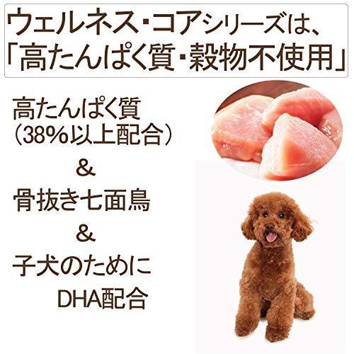 ウェルネス コア 穀物不使用 高たんぱく質 小型犬 子犬用 離乳期 1歳 骨抜き七面鳥 1 8kg S 1223 Room109 通販 Yahoo ショッピング