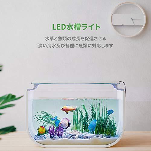 Ustartech アクアリウム Led水槽ライト 水槽用照明 40 45cm 魚ライト 36連 3色 白 赤 青 観賞魚 熱帯魚 水草育成 省エネ S Room109 通販 Yahoo ショッピング