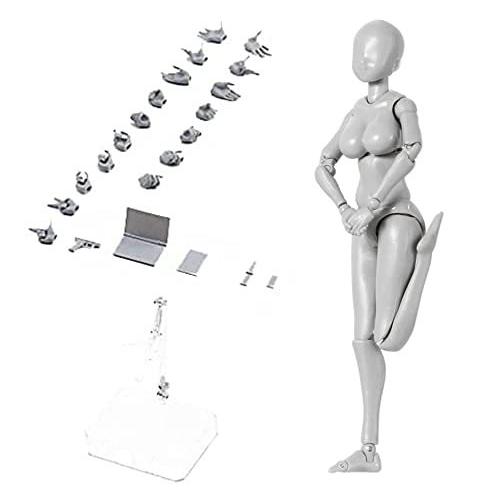 デッサン 人形 スタンド 1 12 人体模型 ィギュア ケーススタンド 収納 ケース 作画 練習 男性 素体 模型 小道具 スタンド付き スタンド Myleet Com