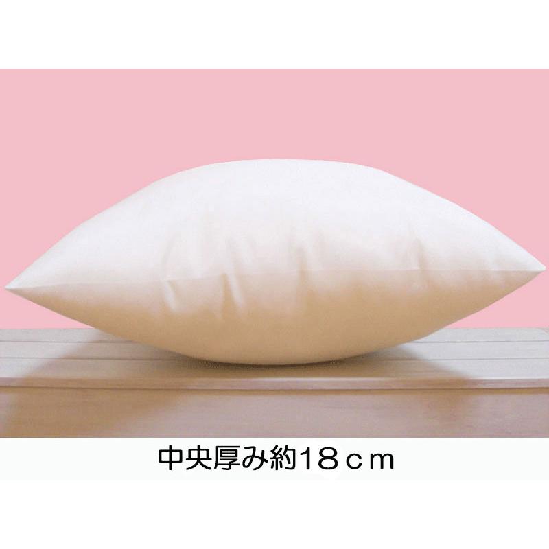 日本製ヌードクッション40ｘ40cm 15個セット ヌードクッション クッション中身 クッション 40×40 単品 日本製