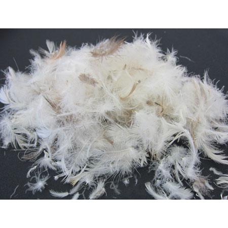 羽根枕 枕 まくら 43×63 フェザー クッション ピロー 防ダニ 中身 へ