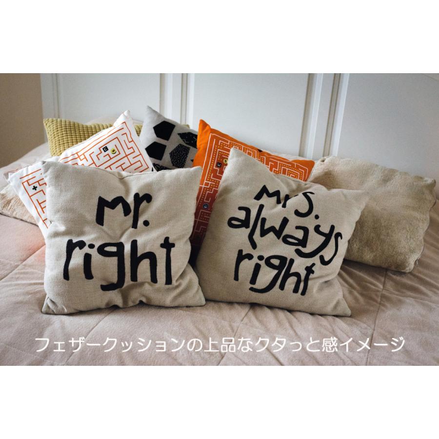 MAISON DĒCOR クッション NEW ヌードクッション フェザー 45×45cm(実寸46x46） クッション 羽根