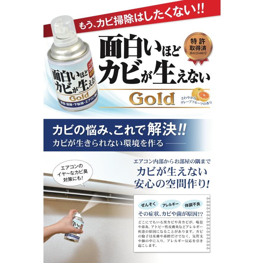 ピュアソン　面白いほどカビが生えないGold　200ml｜roomania-l｜02