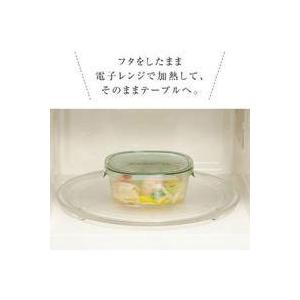 PYREX（パイレックス） イワキ (iwaki) パック＆レンジ システムセット