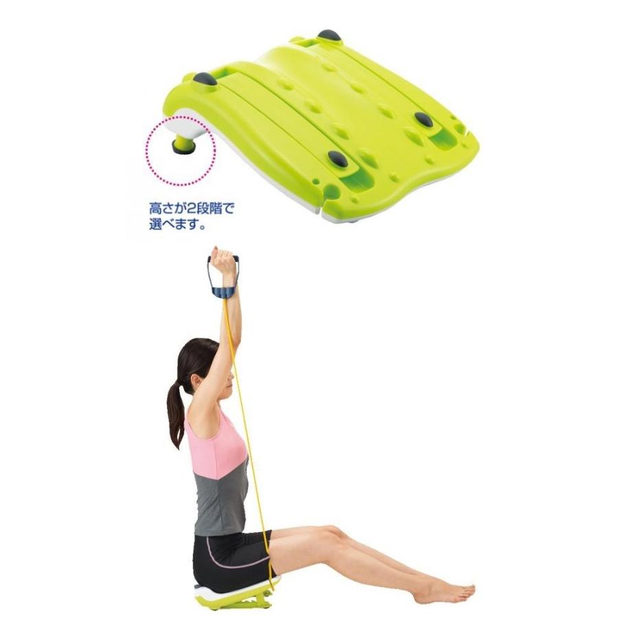 イモタニ シェイプストレッチャー(エキスパンダー付) HH-840
