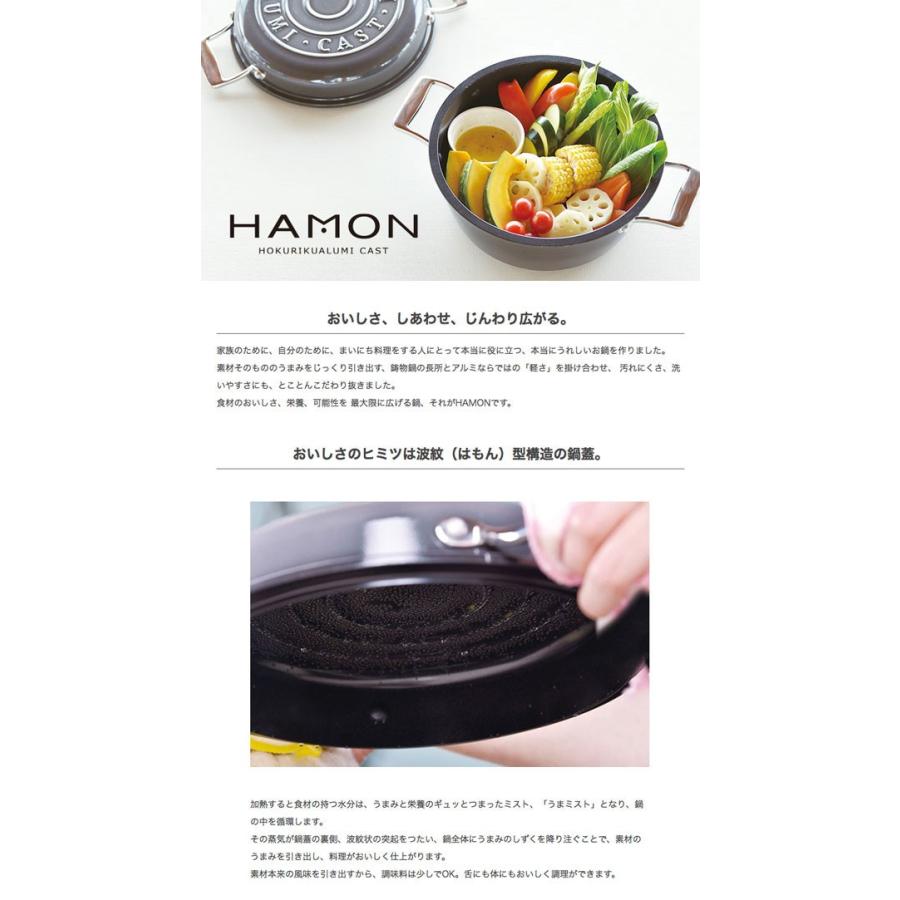 北陸アルミニウム HAMON 琺瑯鍋 21cm ガス火用 : グラスゴーセカンド