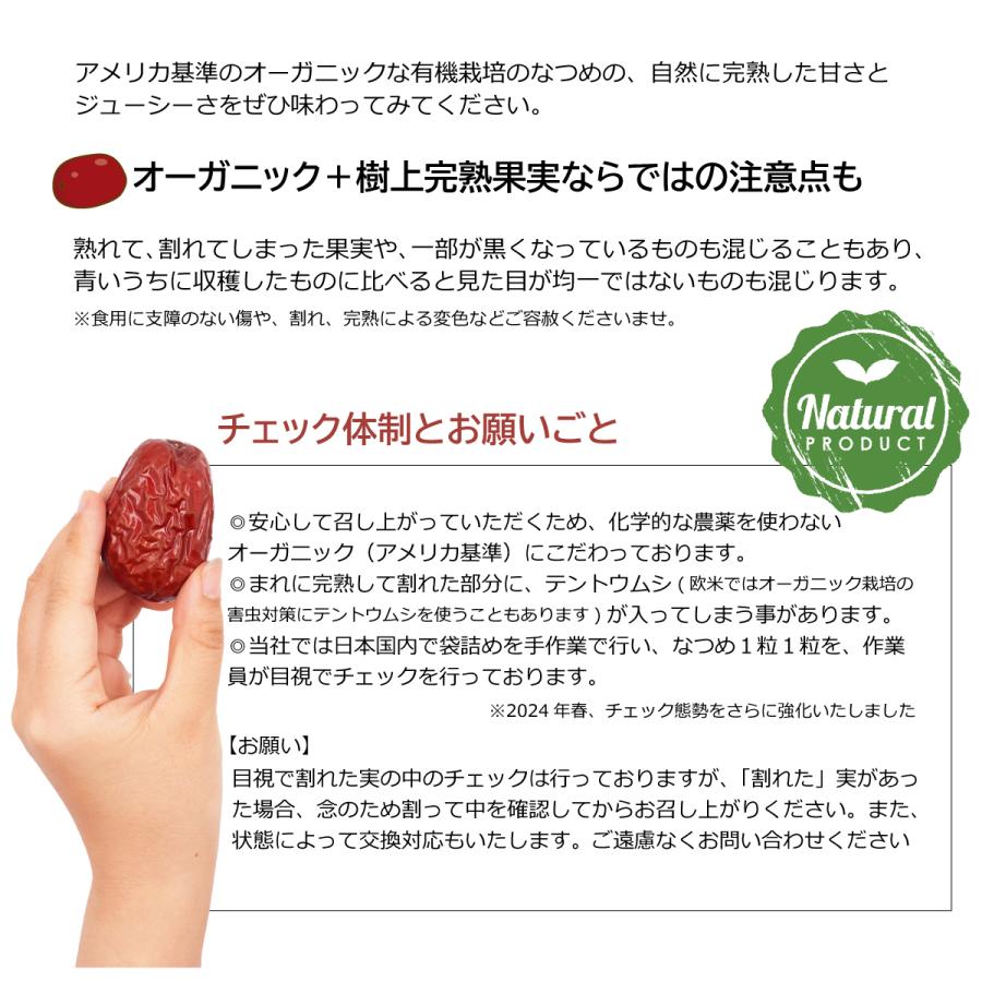 大粒 ナツメ しっとりやわらか 500g 樹上完熟 極上 USDA認証農場 大粒 ナツメ しっとりやわらか 500g 樹上完熟 極上 USDA認証農場