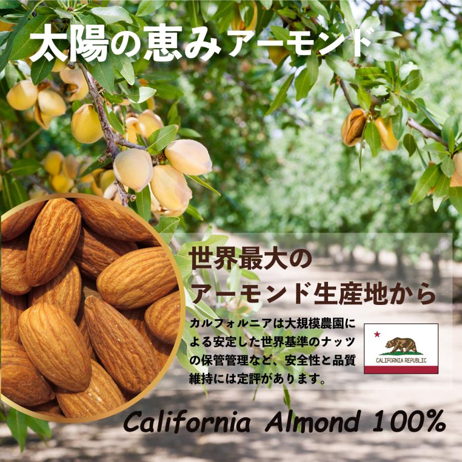アーモンドプードル アーモンドパウダー 200g 生タイプ 皮無 国内加工