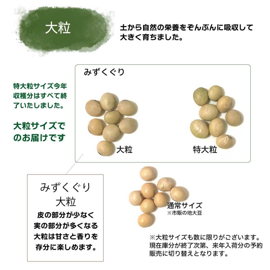 特大粒 地大豆 200g x 3袋 自然栽培 無農薬・無化学肥料 産地 特大粒 地大豆 200g x 3袋 自然栽培 無農薬・無化学肥料 産地