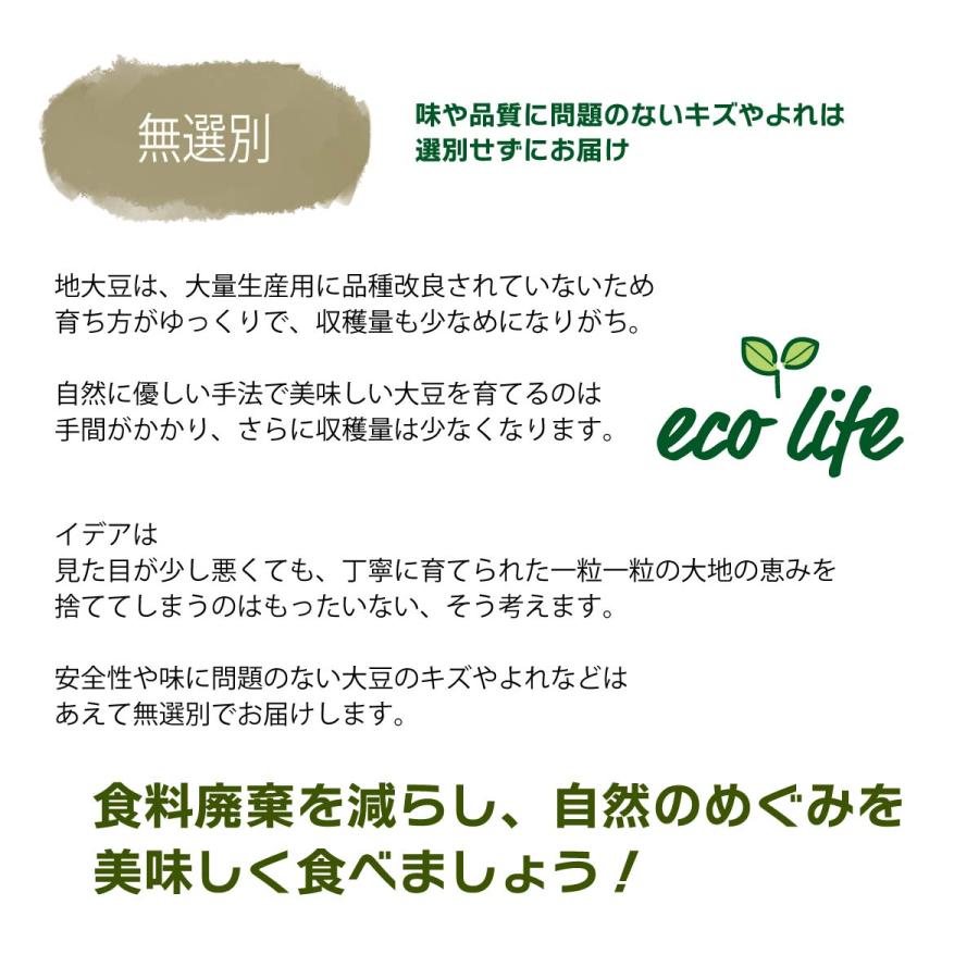 特大粒 地大豆 200g x 3袋 自然栽培 無農薬・無化学肥料 産地 特大粒 地大豆 200g x 3袋 自然栽培 無農薬・無化学肥料 産地