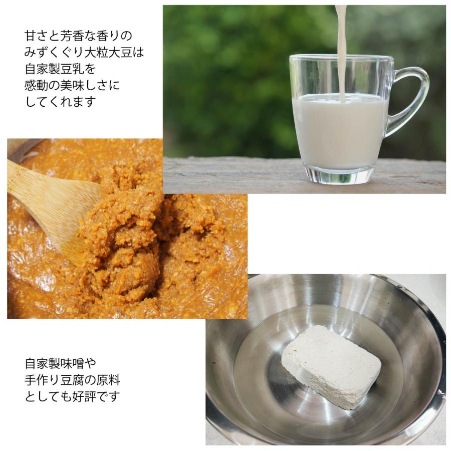 特大粒 地大豆 200g x 3袋 自然栽培 無農薬・無化学肥料 産地 特大粒 地大豆 200g x 3袋 自然栽培 無農薬・無化学肥料 産地