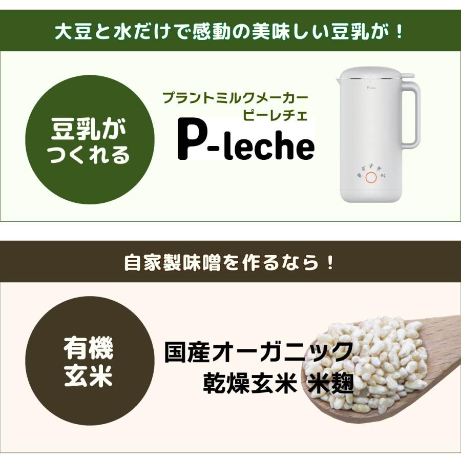 特大粒 地大豆 200g x 3袋 自然栽培 無農薬・無化学肥料 産地 特大粒 地大豆 200g x 3袋 自然栽培 無農薬・無化学肥料 産地
