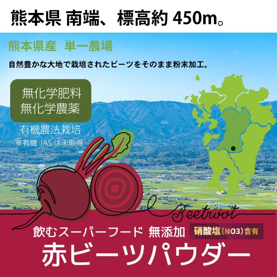 オーガニック ビーツ パウダー 130g 熊本県産 ビーツまるごと