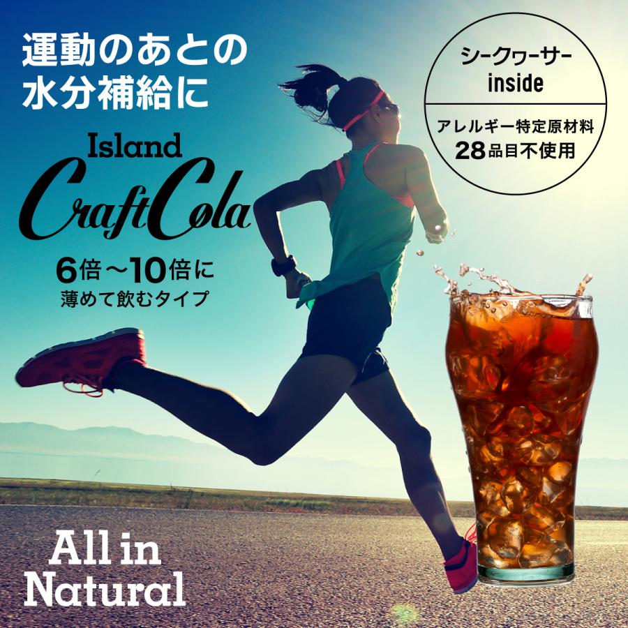 アイランド クラフトコーラ 300ml×3本 沖縄 無添加 名護市 ヒハツ シークワーサー 国産 原液 クラフトコーラの素 素 キット スパイス｜roombania｜04