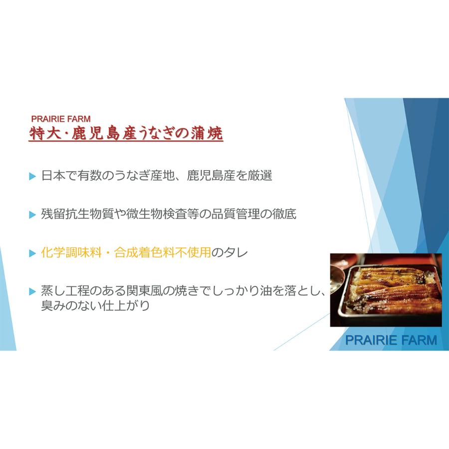 特大 鹿児島県産うなぎ蒲焼セット（永谷園お吸い物付） 産直品 お土産 ギフト プレーリードッグ ファーム_1