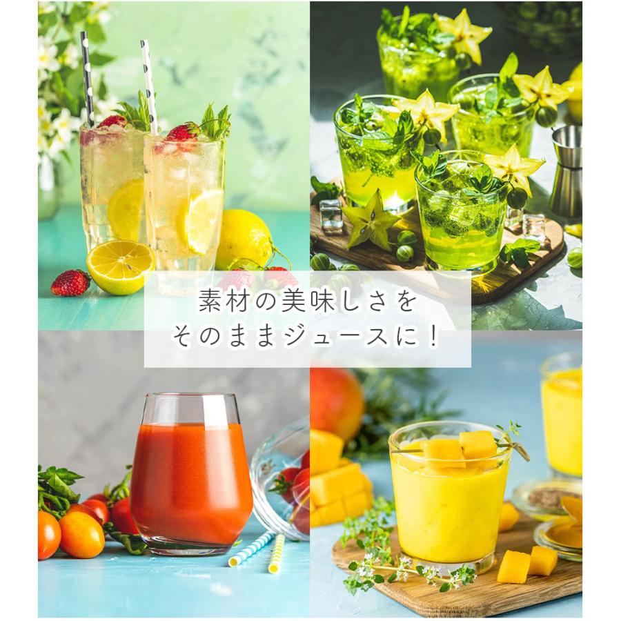 ホールスロージューサー シェフ 業務用 500ml 大容量 スムージー ホールスロージューサー シェフ 業務用 500ml 大容量 スムージー