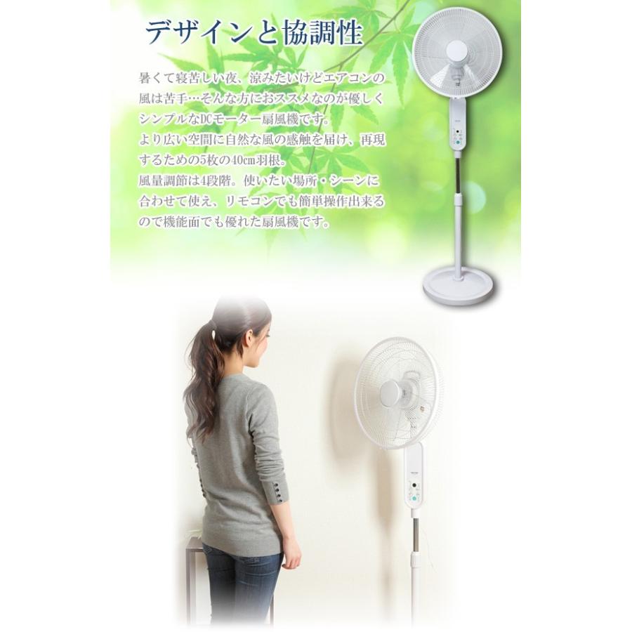 TEKNOS（テクノス） 扇風機 DCモーター 静音 静か リビング扇風機 40cm