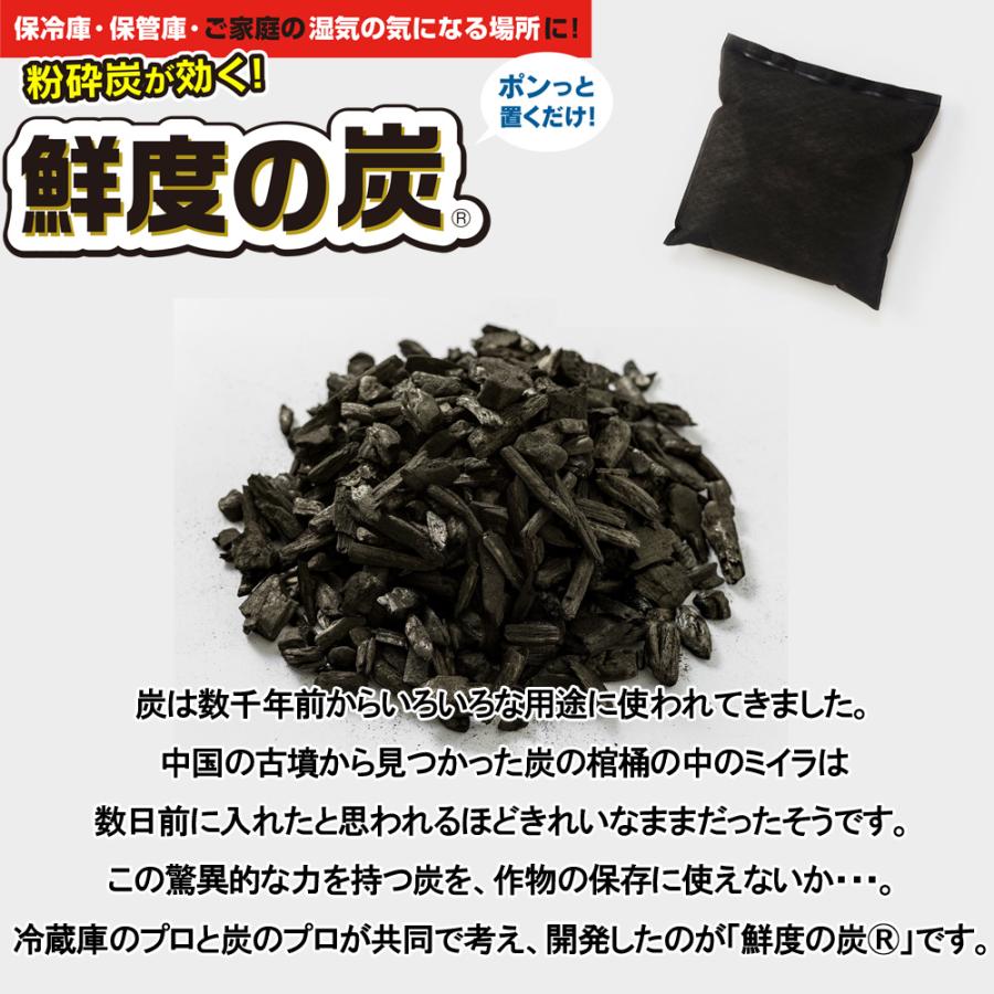 鮮度の炭プラス 12袋 鮮度の炭 炭 粉砕炭 湿度調節 除湿 加湿 防臭 防