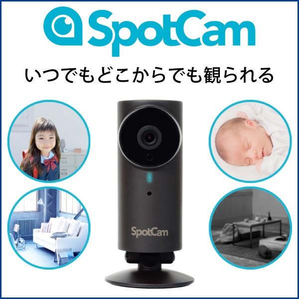 SpotCam living room