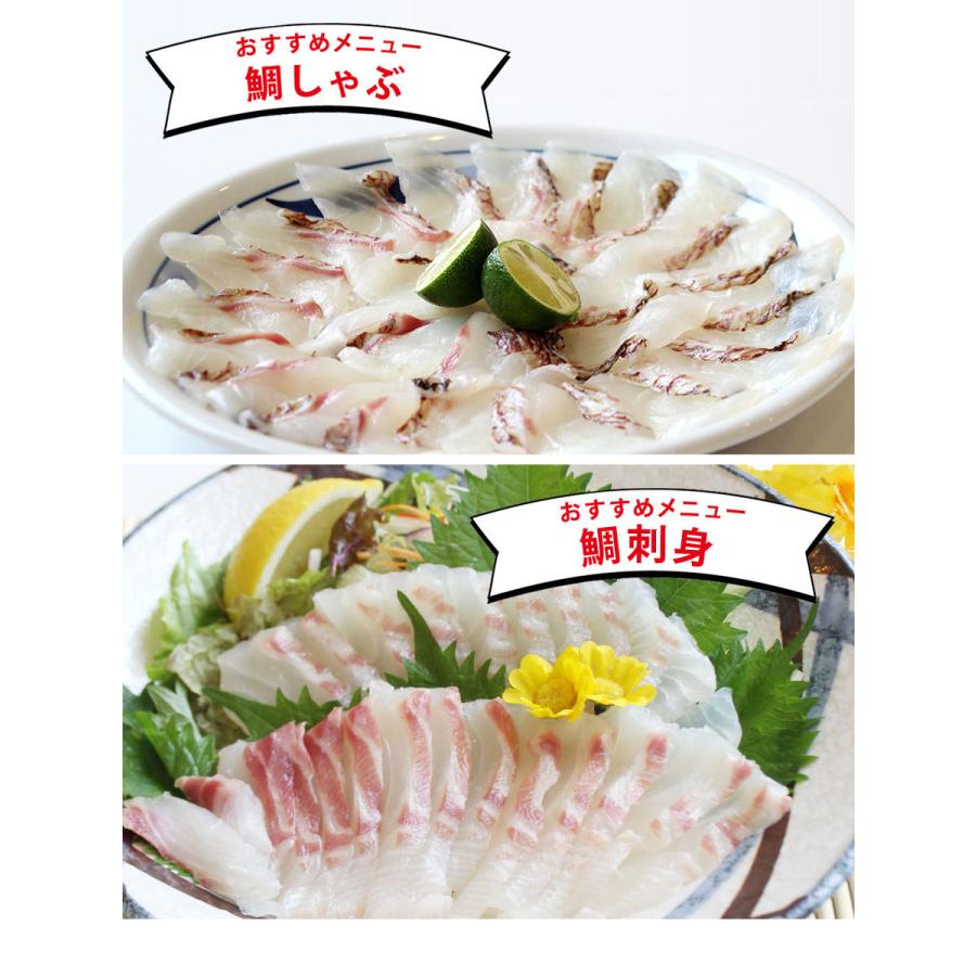 真鯛 鯛一郎クン 冊 皮あり4枚 冷凍 7 8人前 下処理済み 刺身 煮魚 塩焼 原魚1 8 2 2kg Taichiro Kun F Rk Roomdesign 通販 Yahoo ショッピング