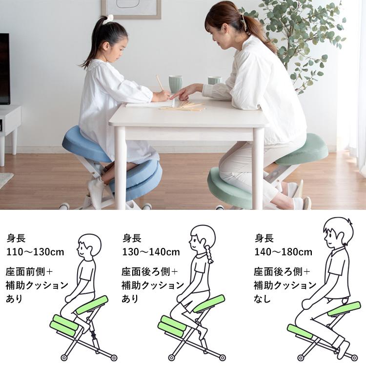 宮武製作所 プロポーションチェア 補助クッション付き 姿勢矯正 学習