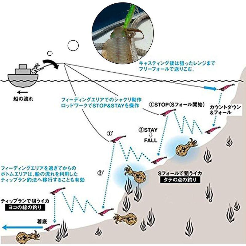 人気スポー新作 夜光 イカ釣り タコエギ エギセット Agool エギルアー 収納ケース付き 餌木8色8本セット パタパタ動き ラトル内蔵 エギング釣り専用 ミノー プラグ Www Fattoriabacio Com