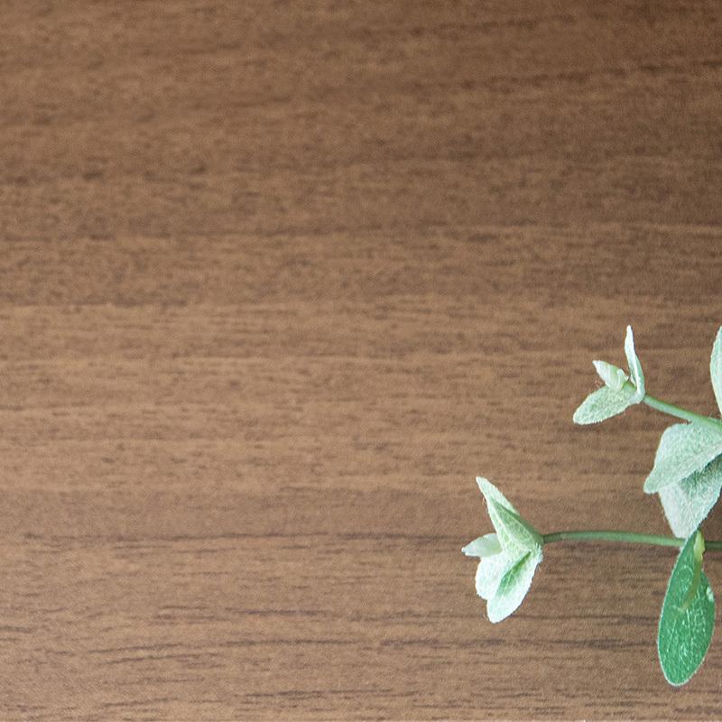 ダストボックス付きキッチンラック 2台セット 幅35cm スキマ収納 ガラス扉 ブラウン ゴミ箱上収納リビングでも スリム 店舗用 RPP-DB |  | 18