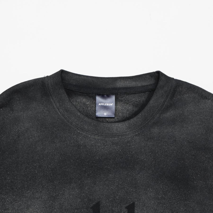 APPLEBUM（アップルバム） APPLEBUM Airbrush Crew Sweat 2420404 