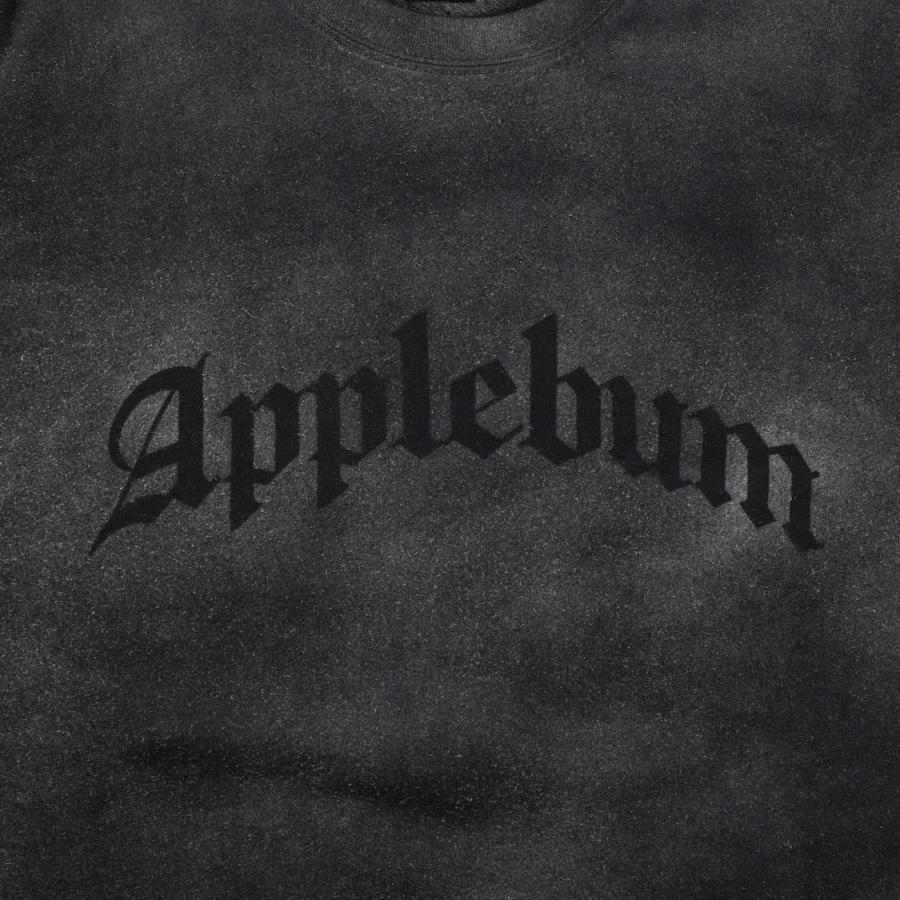 APPLEBUM（アップルバム） APPLEBUM Airbrush Crew Sweat 2420404 