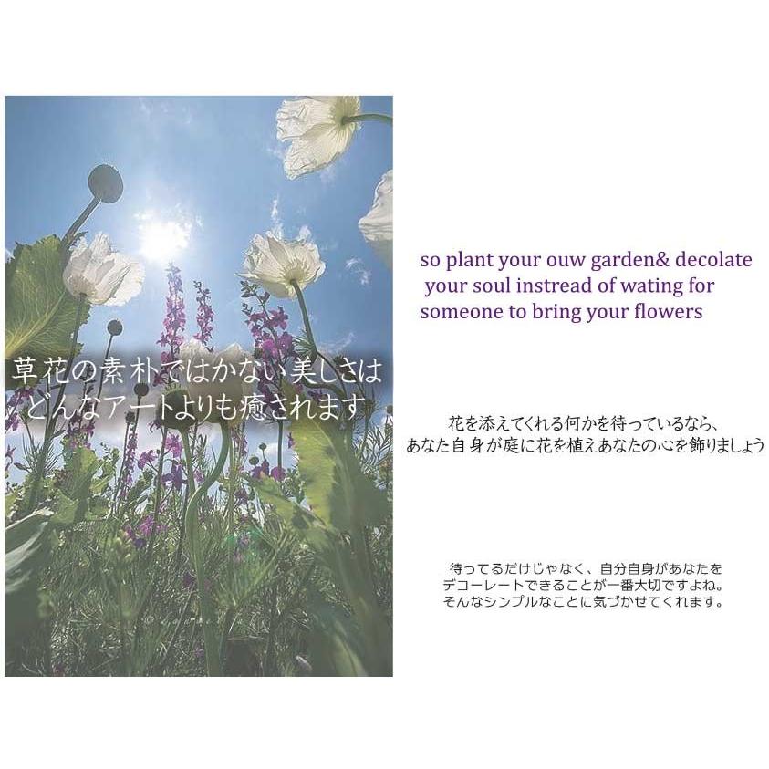 ウォールステッカー 送料無料 ハーブ 転写 英文 壁紙 インテリアシール 英語 北欧 カフェ Diy Young2 Zone 黒板 ウオールステッカー 001 024 インテリア雑貨のルームプラス 通販 Yahoo ショッピング