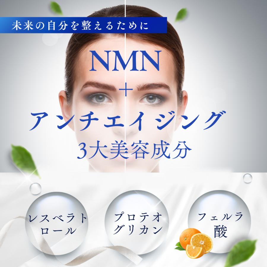 NMN 12000 サプリ 日本製 2粒 400mg 高純度99.9%ル GMP認定工場 プロテオグリカン 耐酸性カプセル 栄養機能食品 |  | 03